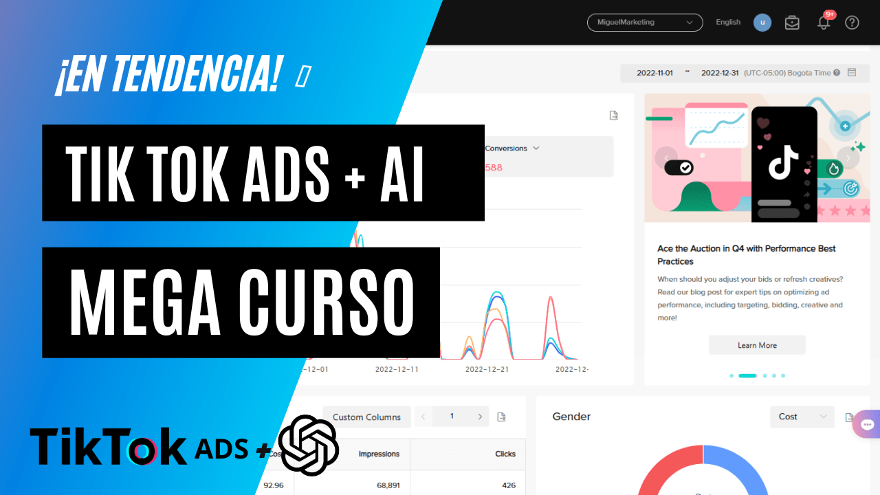 Curso de TikTok Ads + AI